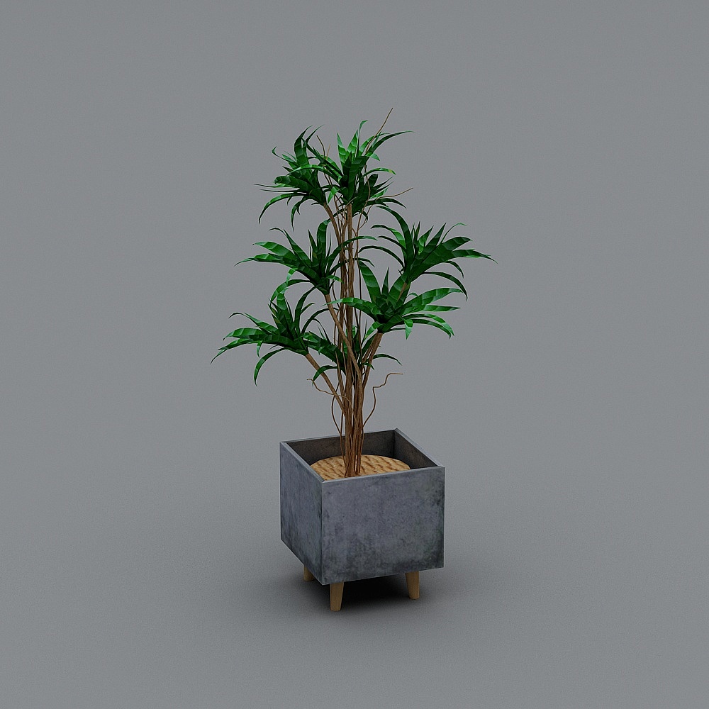 Elegant Low-Poly Plant Pot 3D Model