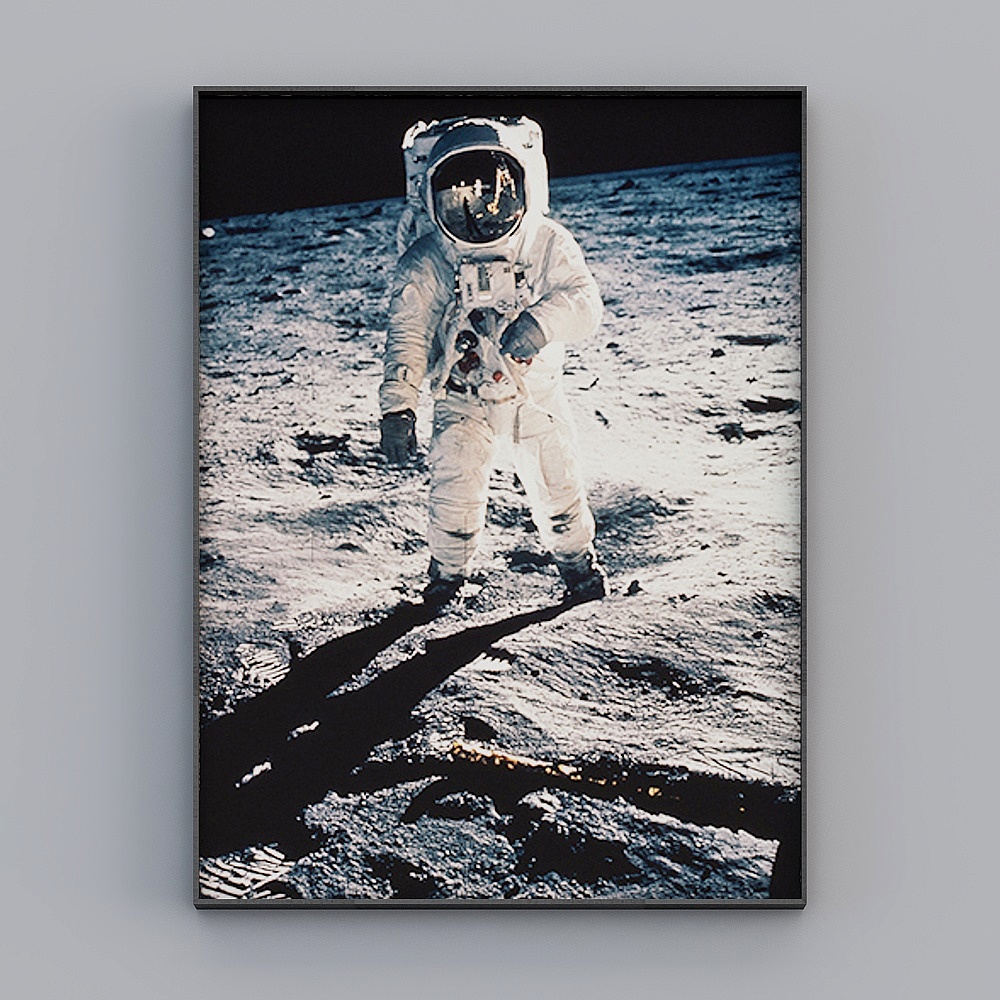 Decorative Alliance - Modern Light Luxury Premium - Single - Decorative Painting - SHLM190067