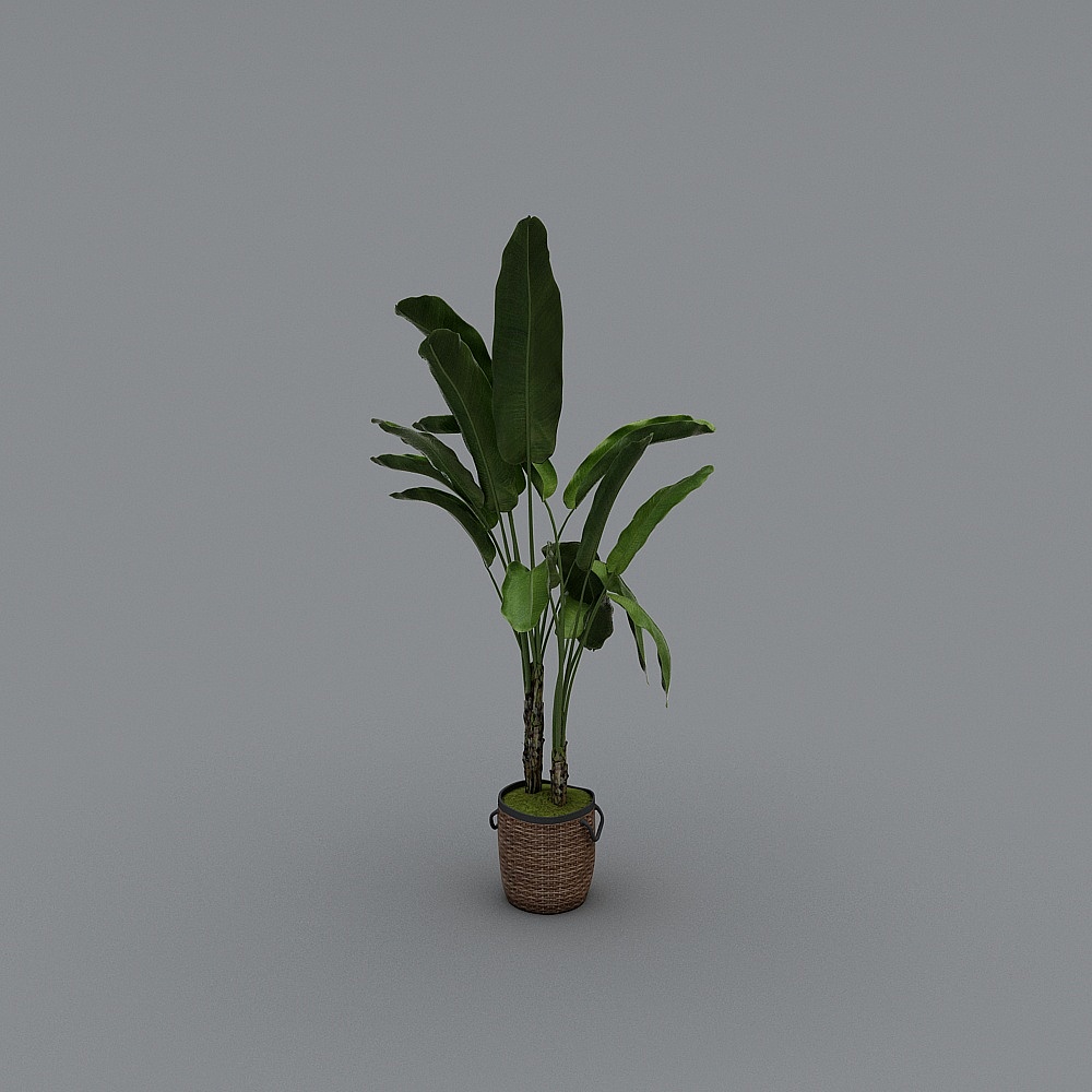 Green plants