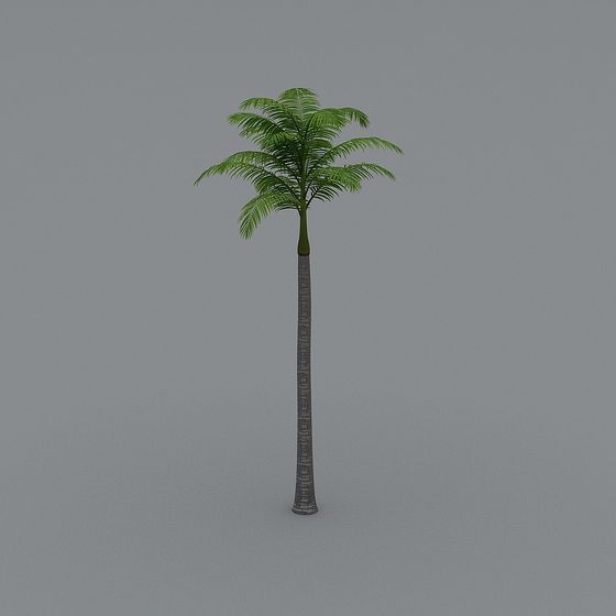 Low Poly Palm Tree 3D Model for Tropical Scenes