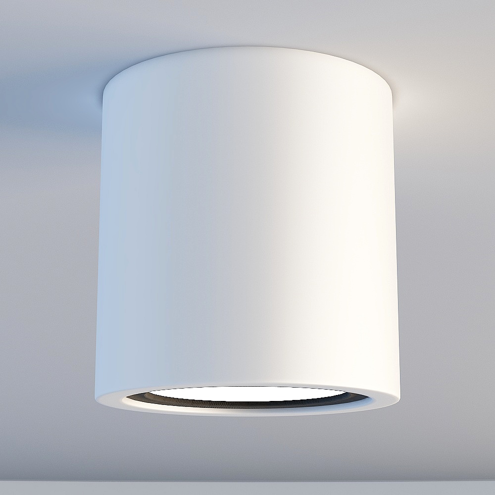 Downlight spot light