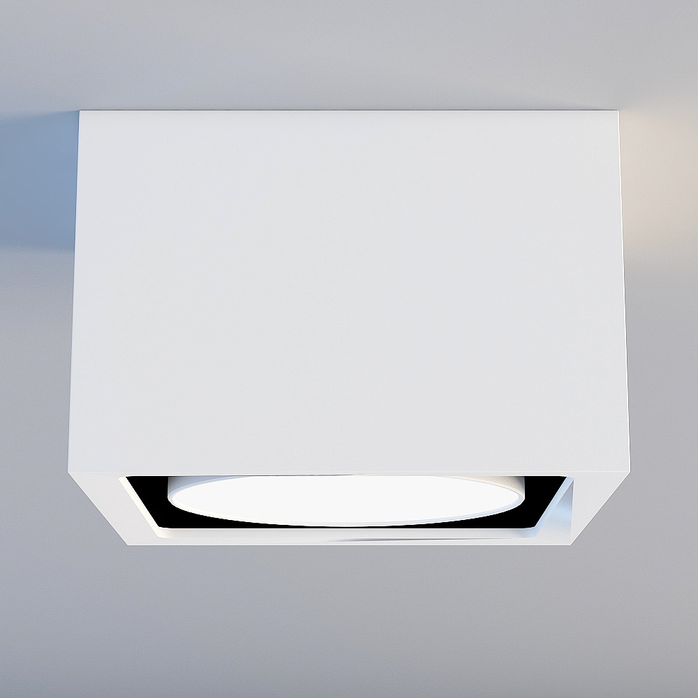 Yan Chenlu single head downlight 01