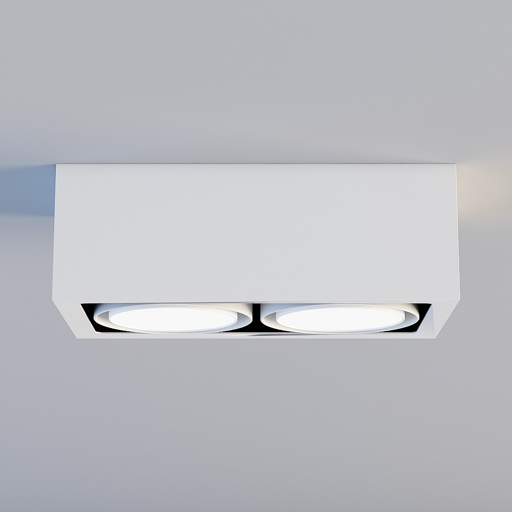 Yan Chenlu double head downlight 02