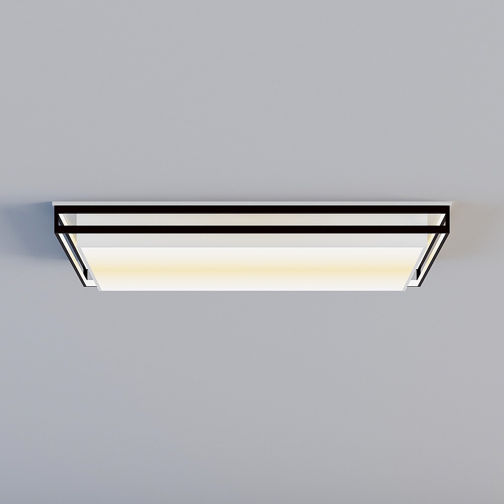 Ceiling light