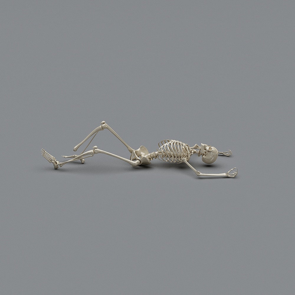 Realistic Low-Poly Skeleton 3D Model
