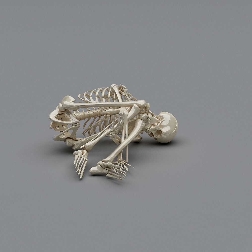 Lying Skeleton 3D Model