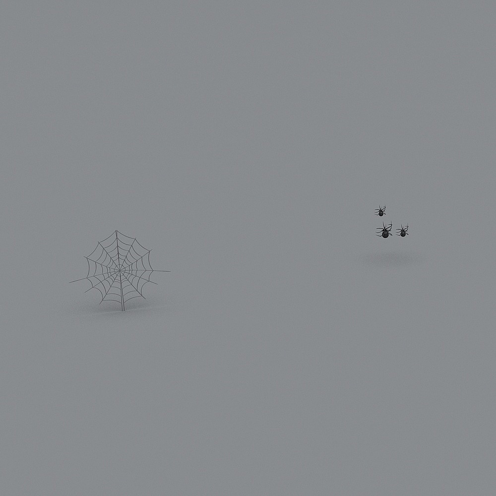 Spider and Web 3D Model Design