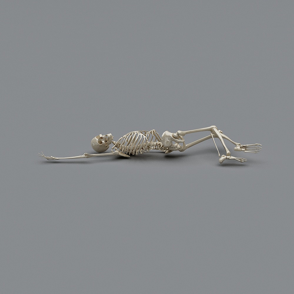 Halloween - Skeleton Frame