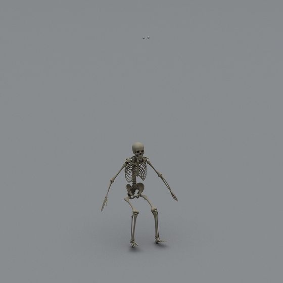 Low Poly Skeleton 3D model in Gray