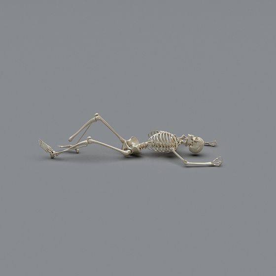 Realistic Low Poly Skeleton 3D Model