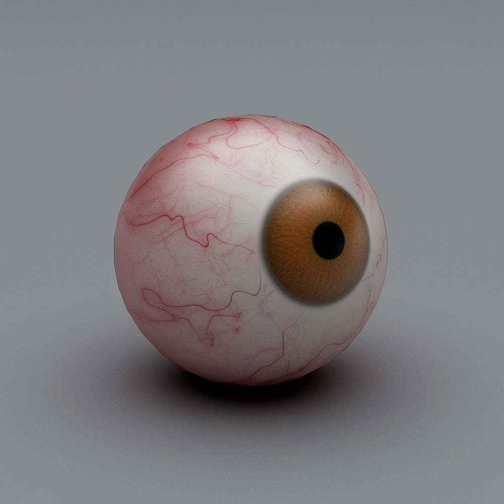 Realistic Eyeball 3D Model