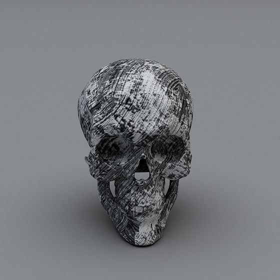 High-Detail Skull 3D Model for Creative Projects
