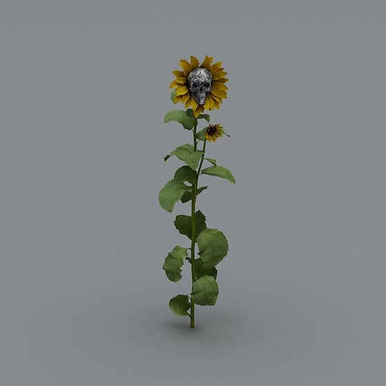 Ghost Sunflower 3D model for Creative Projects