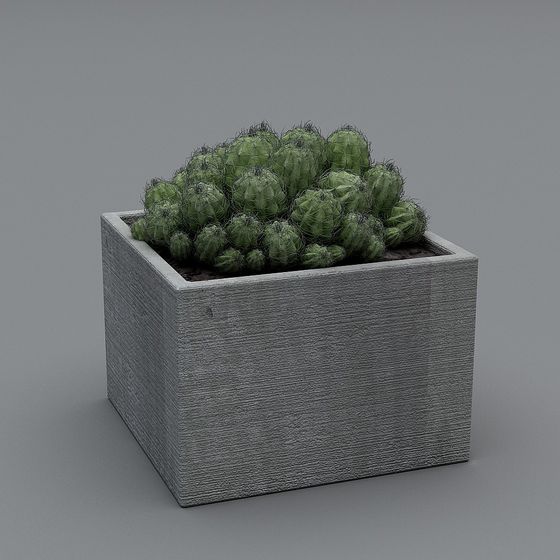 Cactus in Concrete Planter 3D model