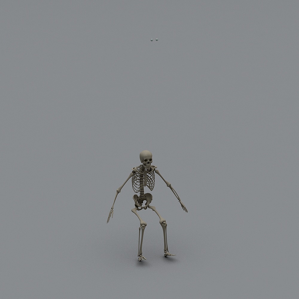 High-Detail Low-Poly Skeleton 3D model