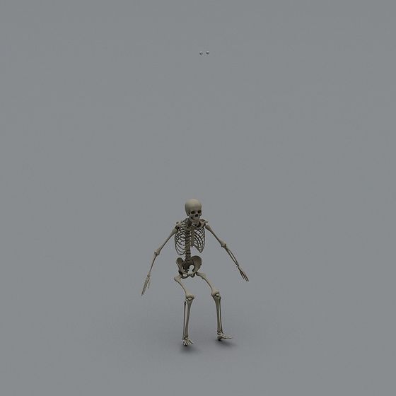 Halloween - Halloween Skull Frame