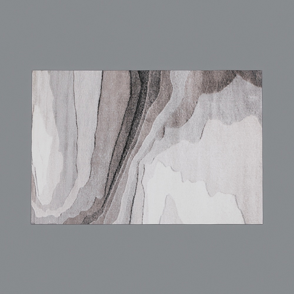 New 2 living room carpet