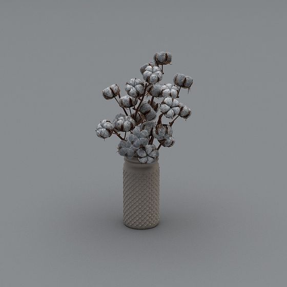 Cotton Song 3D model for Creative Projects