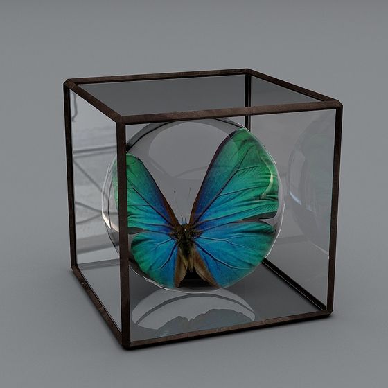 Butterfly Glass Box 3D model
