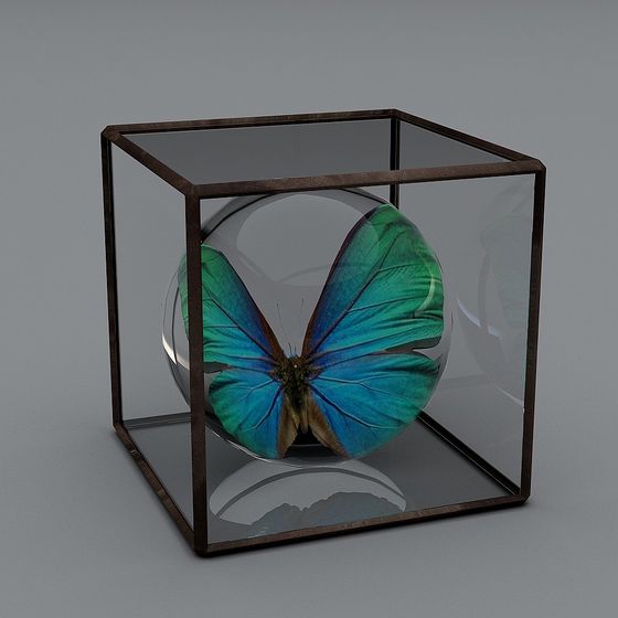 Butterfly Glass Box 3D Model