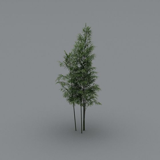 Charming Bamboo Grove 3D model