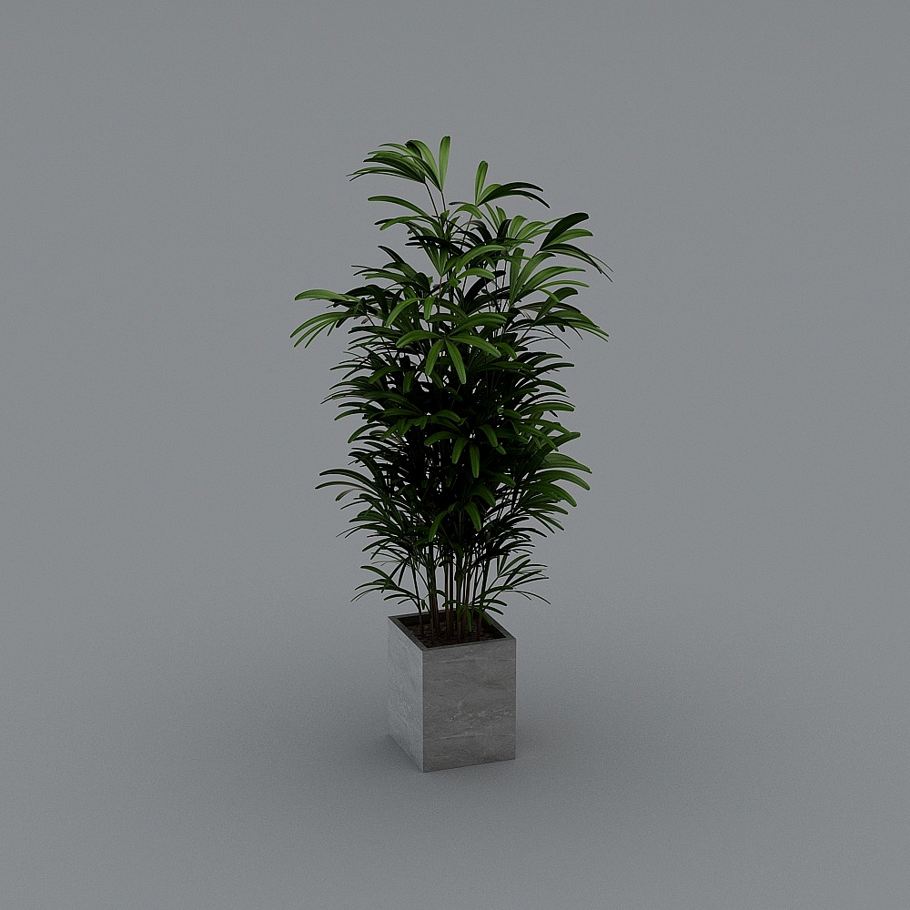 Lifelike Palm Tree 3D Model for Creative Projects