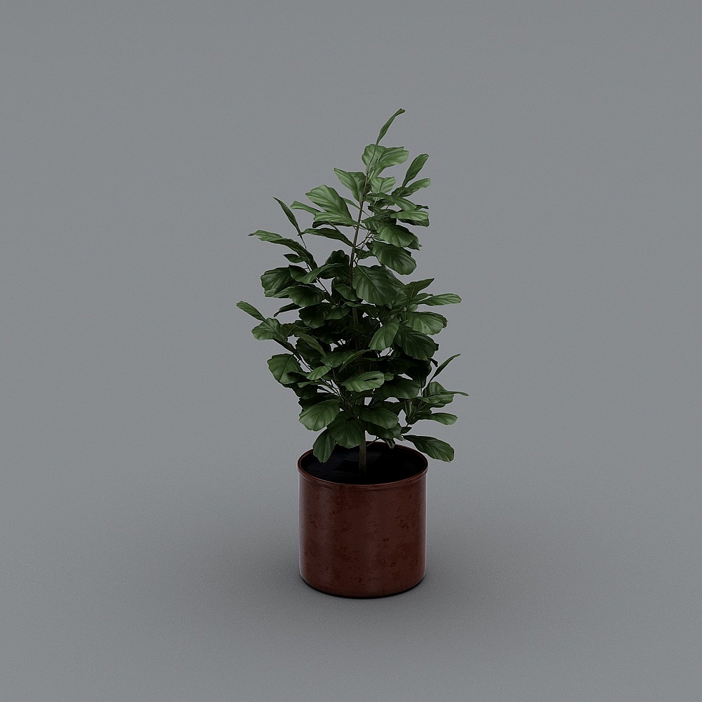 Nordic potted plants 3