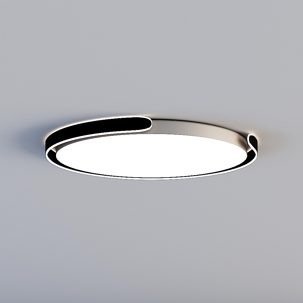 Ceiling light