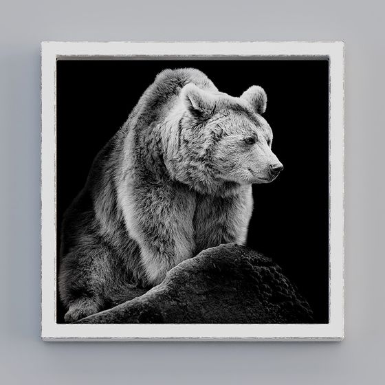 Forest Guardian 3D Model of a Brown Bear