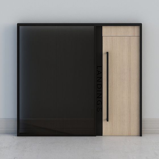 Sleek Minimalist Glass and Wood Door 3D model