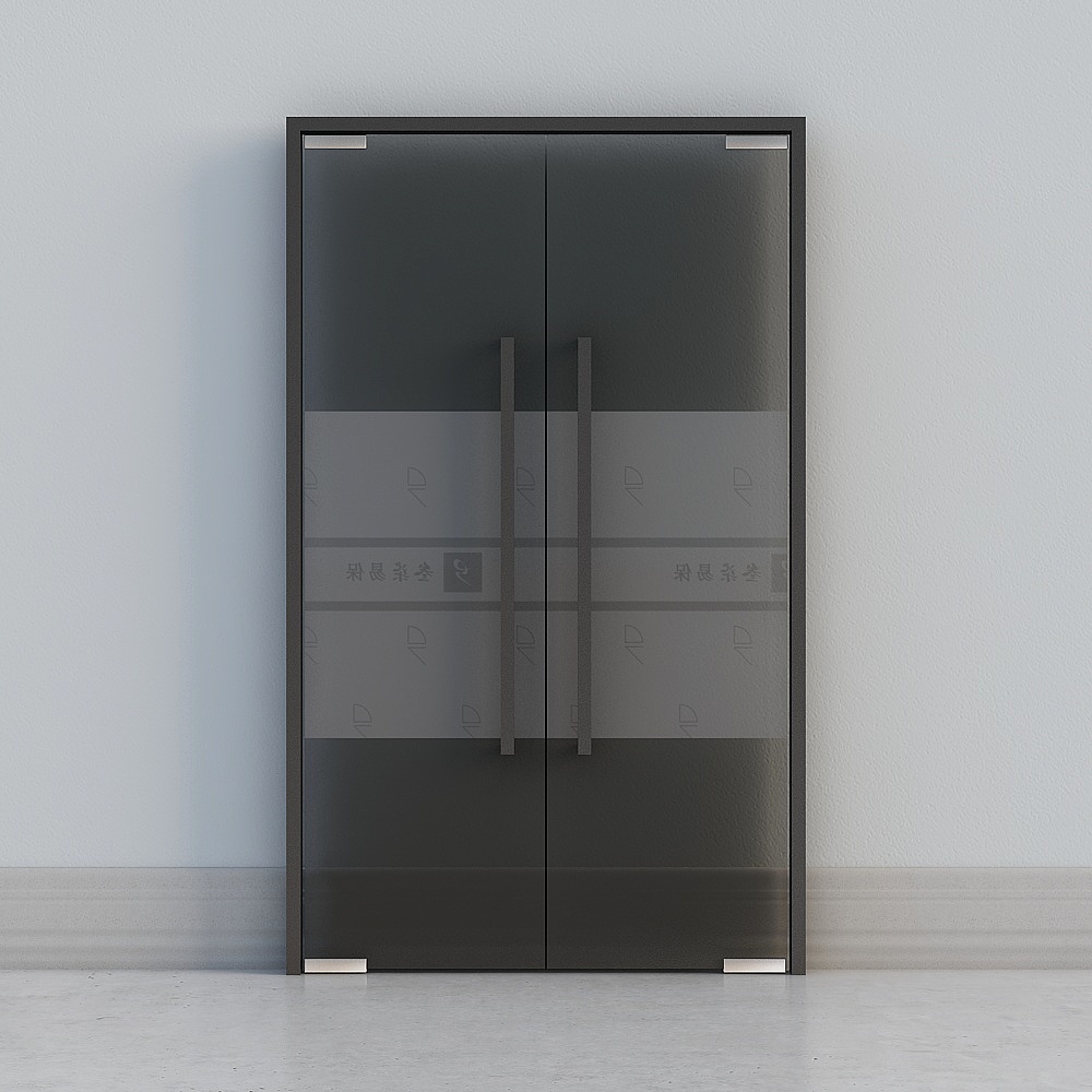 Porte vitrée moderne double