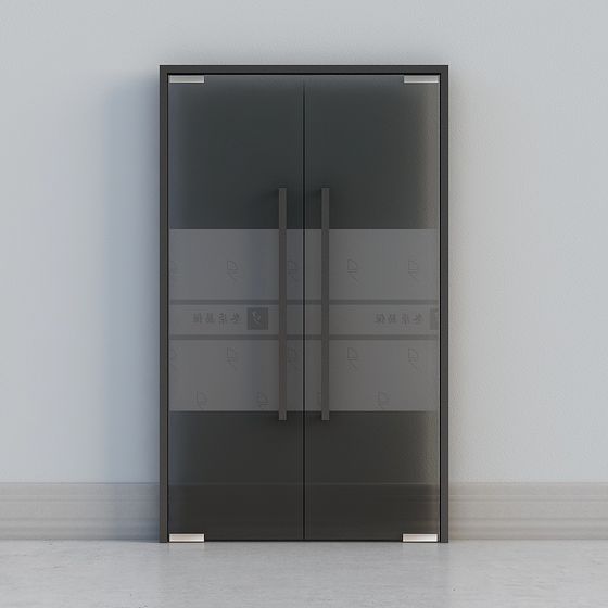 Porte vitrée moderne double