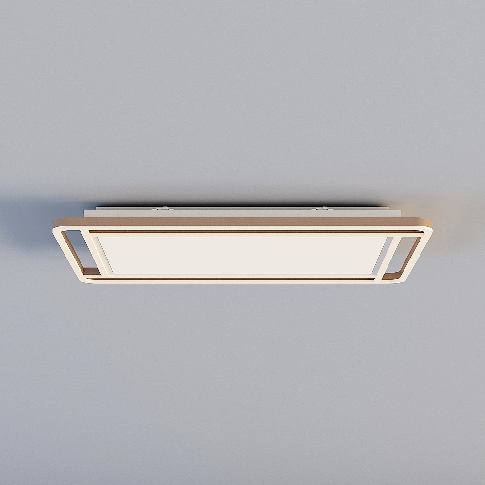 Ceiling light