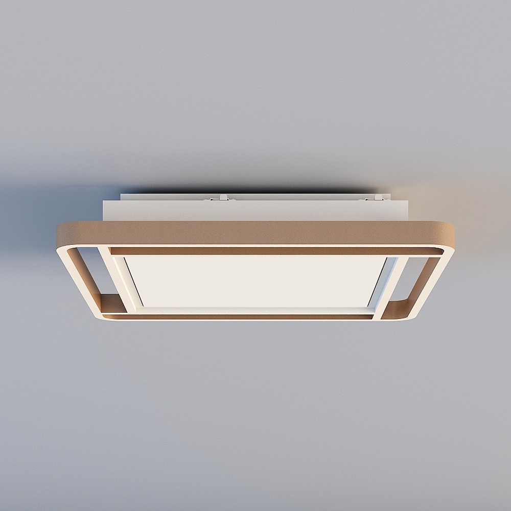 Ceiling light