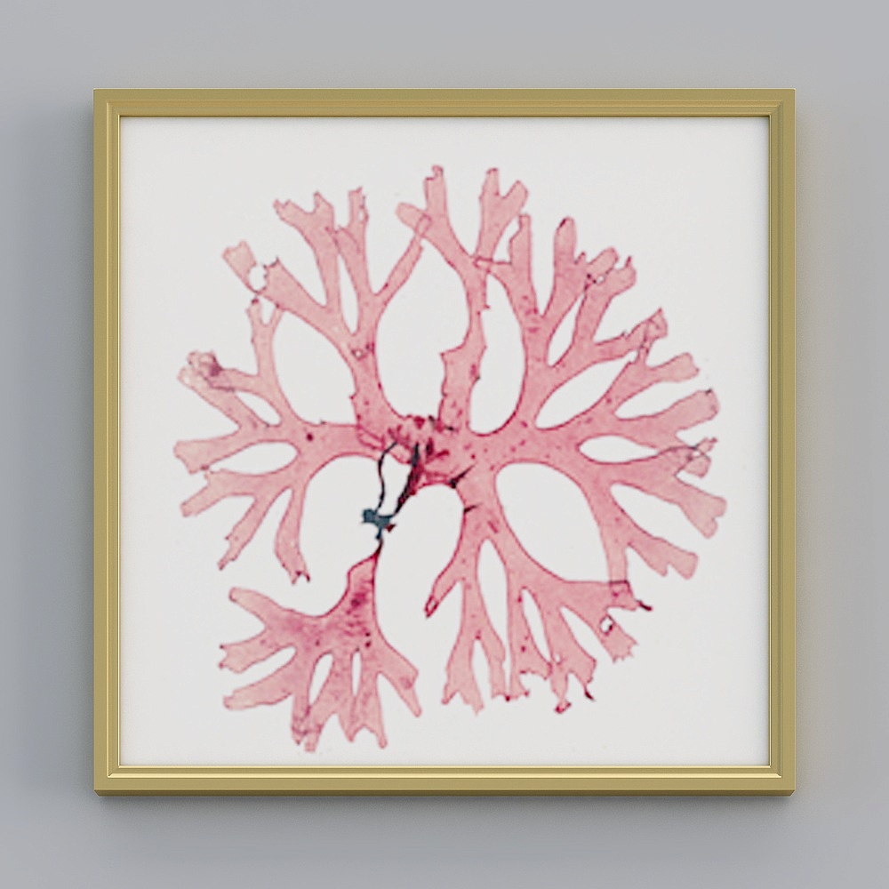 Decorative paintings