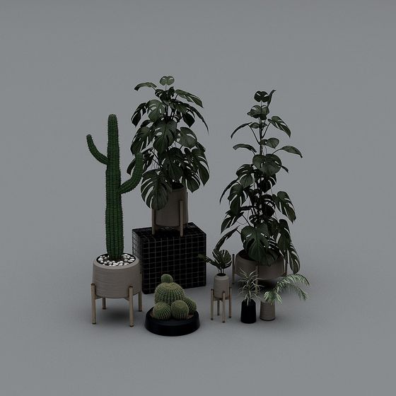 Urban Greenery 3D model for Modern Aesthetics