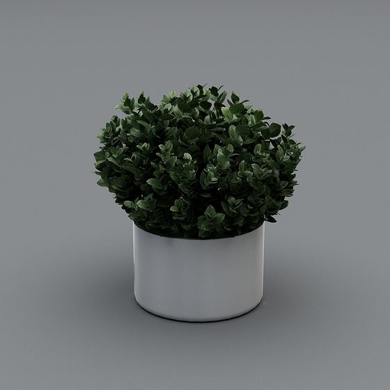 Urban Greenery 3D model for Modern Spaces