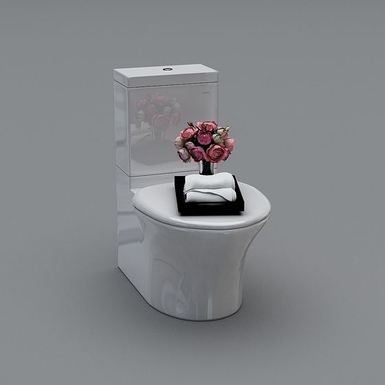 Elegant Low-Polygon Bathroom Toilet 3D model