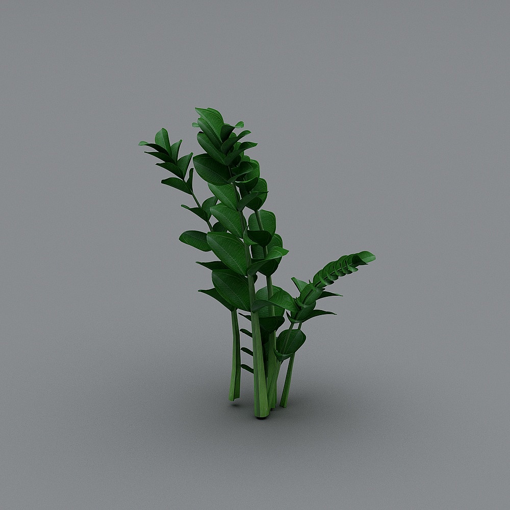Green Plant 3
