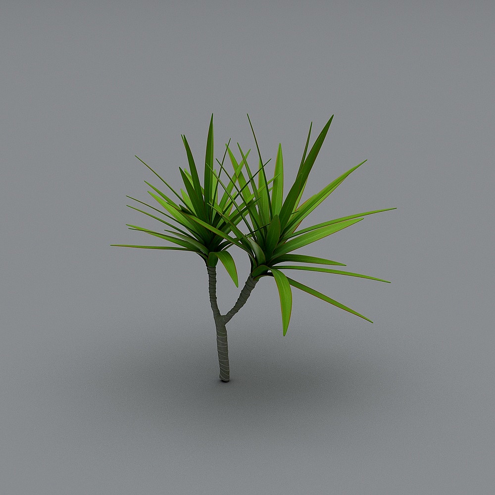 Green Plant 6