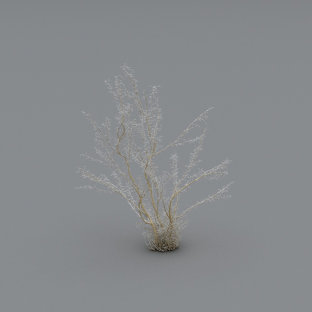 Winter Bare Branch 3D Model