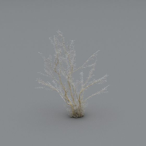 Winter Bare Branch 3D Model