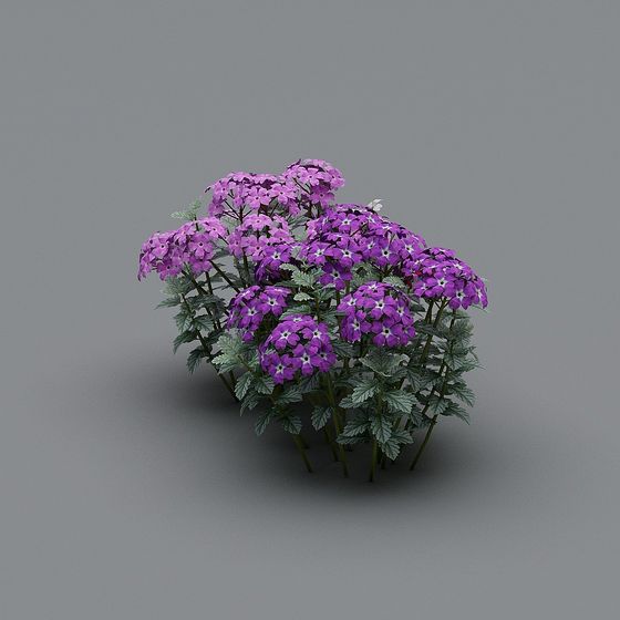 Vibrant Violet Flower Cluster 3D Model