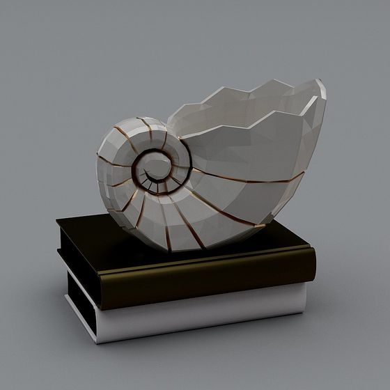 Elegant 3D Shell Model Perfect for Creative Projects