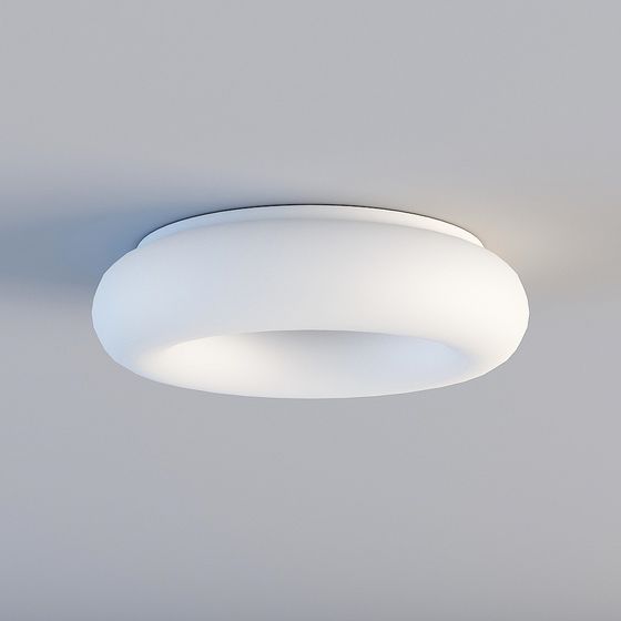 Minimalist Ceiling Light 3D model