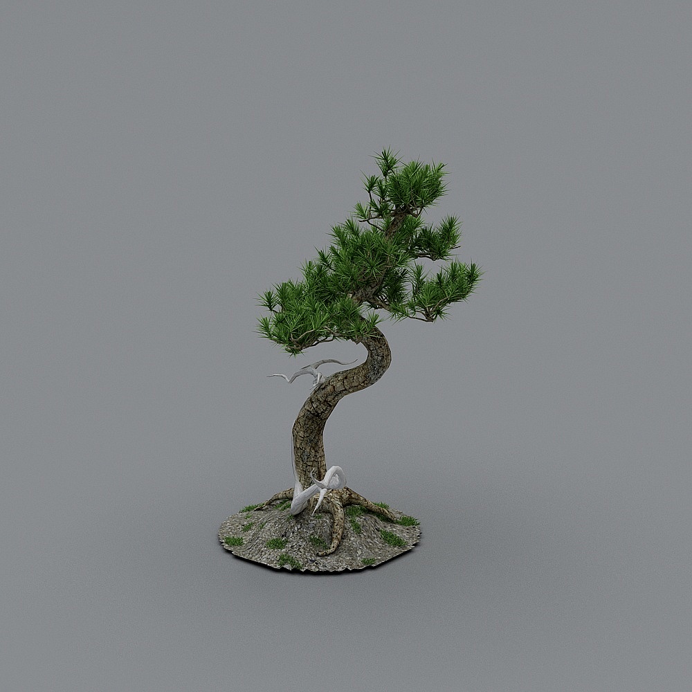 Low Poly 3D Pine Tree Model for Creative Projects