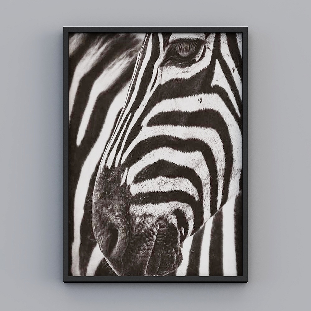 Elland decorative painting high-end boutique embroidery new Nordic color strip black and white zebra art close-up simple personality living room dining room bedroom sofa bed head single picture frame modern light luxury hanging