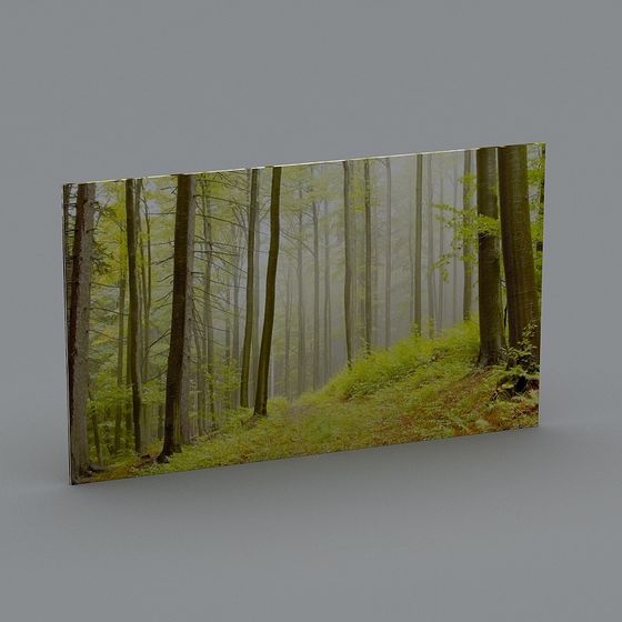 Morning Mist Forest 3D Model