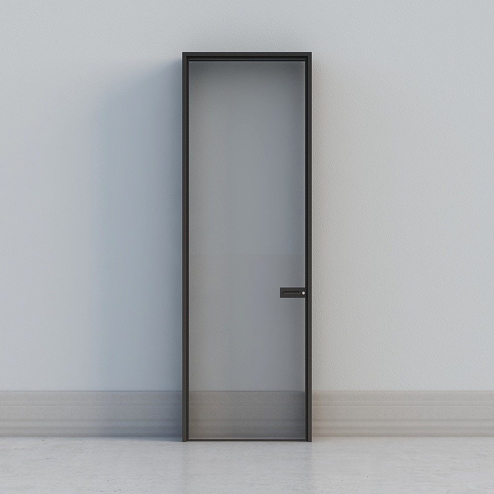 Modern Dark Glass Door