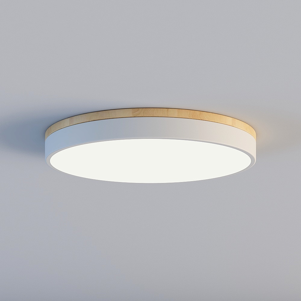 Ceiling light